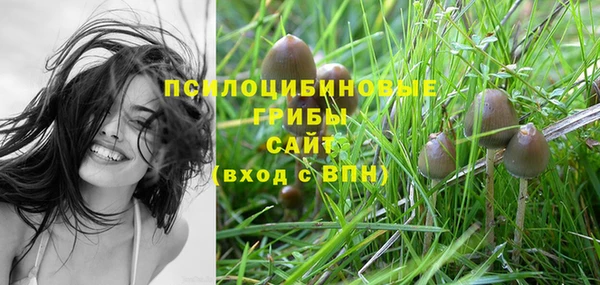 эйфоретик Козловка