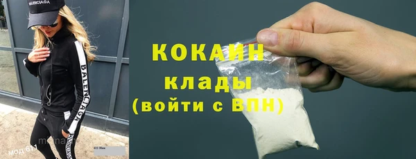 ГАЛЛЮЦИНОГЕННЫЕ ГРИБЫ Кукмор