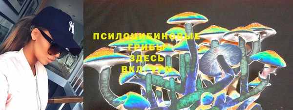 ГАЛЛЮЦИНОГЕННЫЕ ГРИБЫ Кукмор